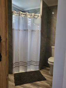 NaguaboTierra Adentro Bed and Breakfast的浴室配有白色的浴帘和卫生间