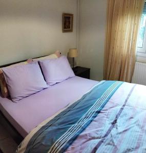 塞萨洛尼基Virginia Apartment的卧室内的一张带紫色床单和枕头的床