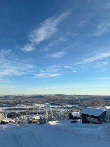耶尔夫瑟Toppvillan - Ski In - Ski Out - 200 m till toppen och cykelleder的享有雪覆盖的城市和建筑的景色