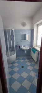 尼萨河畔亚布洛内茨Ubytování Na Stráni的蓝色和白色的浴室设有水槽和镜子