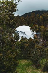 Puerto CorralHuiro Lodge的森林中央的白色圆顶帐篷