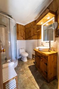 Puerto CorralHuiro Lodge的浴室配有卫生间、盥洗盆和淋浴。