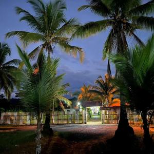 努基Cabañas Iracas del Mar的围栏前的一组棕榈树