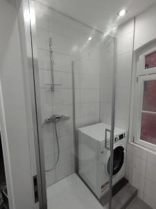 斯图加特Nah an Mercedes-Werke的带淋浴和洗衣机的浴室