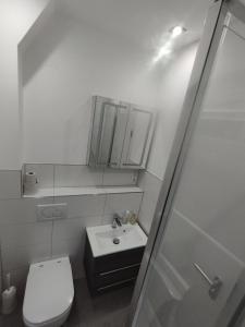 斯图加特Nah an Mercedes-Werke的浴室配有卫生间、盥洗盆和淋浴。