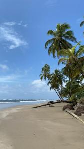 圣达菲Rainforest Yasmin Hotel的两棵棕榈树和大海的海滩