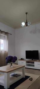 圣克鲁什达什弗洛里什Apartamento da Matilde的客厅配有电视和紫色花卉桌。