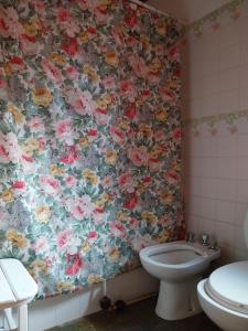 圣米格尔·德·图库玛Casa de campo en tafi del valle的浴室设有卫生间和花卉淋浴帘。