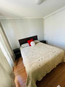拉塞雷纳Casa Piacenza, Cerca De Mall y Faro La Serena的一间卧室配有一张带两个枕头的床