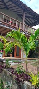 大塞拉Casa Flor de Dendê, Serra Grande, Bahia的前面有棕榈树的房子