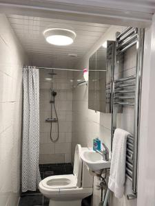 达格纳姆One small bed apartment by monishortlets的浴室配有卫生间、盥洗盆和淋浴。