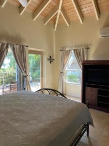 Coral BayCOCONUT BREEZE VILLA: MESMERIZING VIEWS, COOLING TRADEWINDS的一间卧室设有一张床和两个窗户。