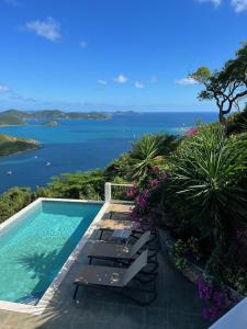 Coral BayCOCONUT BREEZE VILLA: MESMERIZING VIEWS, COOLING TRADEWINDS的海景游泳池