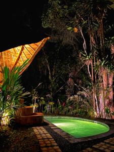 希德门Bamboo House - Ecobreeze的花园中的一个小型绿色泳池