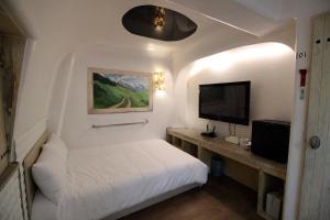 首尔Sinchon Gaon Hostel的一间小卧室,配有一张床和电视