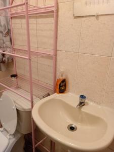 CabraSerenity Zambrano Inn的一间带水槽和卫生间的浴室