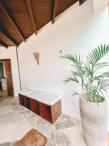 普雷亚Villa Fortal Preá的长凳间里的盆栽植物