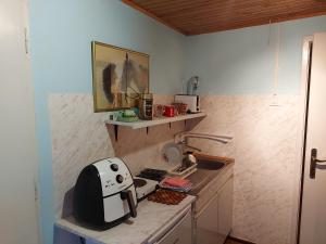 PožegaKuca - STUDIO的厨房配有烤面包机,位于水槽旁的柜台