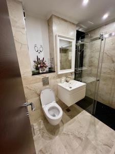 塔古玖Garsoniera SARA的浴室配有卫生间、盥洗盆和淋浴。