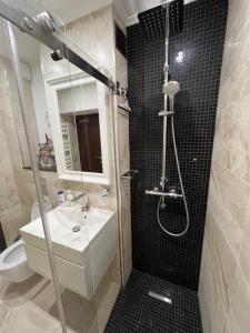 塔古玖Garsoniera SARA的带淋浴、盥洗盆和卫生间的浴室
