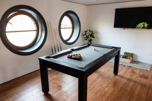 布拉格Botel Marina的带2扇窗户的客房内的台球桌