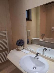奇夫利克Park Hotel Fairy的一间带水槽、卫生间和镜子的浴室