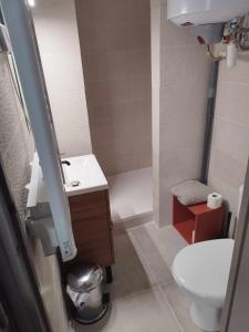 马诺斯克Appartement ensoleillé Manosque的一间带卫生间和水槽的小浴室