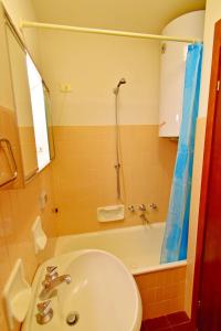 摩德纳迪-坎皮格里奥Carlo Magno Studio apartment的浴室配有水槽、淋浴和浴缸。