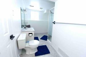 金斯顿Adorable Spacious Inn with Indoor fireplace的白色的浴室设有卫生间和淋浴。