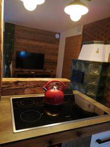 拉赫塔尔ALMNEST - LACHTAL的厨房内的炉灶上的茶壶