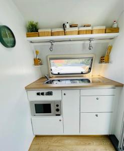 奥纲赖泽Jeanne La Caravane的一间带水槽和微波炉的小厨房