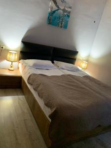 梅斯蒂亚Tetne Qor Guesthouse的一间卧室配有一张大床和两盏灯