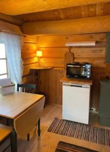 SkjåkStallen - koselig lite hus på gårdstun的厨房配有小冰箱和微波炉