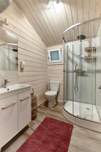 谢拉库夫Arenda Apartamenty&Domki całoroczne的一间带玻璃淋浴和卫生间的浴室