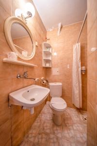 扎科帕内格曼特客派酒店的一间带卫生间、水槽和镜子的浴室
