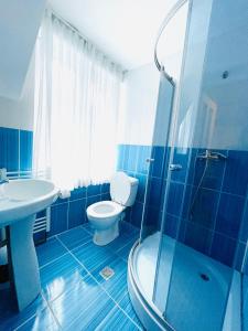 PietroasaLa Mama的蓝色的浴室设有卫生间和水槽