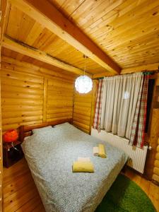 Crni VrhApartment Midzor的小木屋内一间卧室,配有一张床