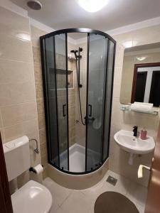 格拉达茨玛特杰卡公寓的带淋浴、卫生间和盥洗盆的浴室