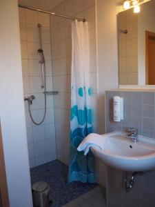 什未林A&S Ferienzentrum Schwerin的一间带水槽和淋浴的浴室