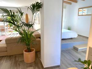 厄尔梅达诺Medano Beach - Villa Playa的带沙发和盆栽植物的客厅