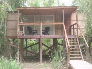 蒂格雷Cabaña Isla Coco的树屋,带两把椅子和梯子