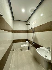 Xóm Moi TrongCát Tú HomeStay的一间带卫生间和水槽的浴室