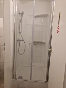 维也纳Gent Apt的浴室里设有玻璃门淋浴