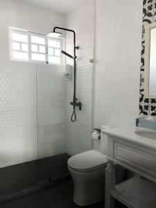 圣何塞福乐尔德里斯酒店的一间带卫生间和玻璃淋浴间的浴室