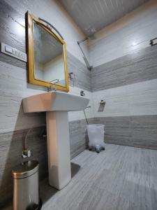 吉布The Woodpecker Inn Jibhi的浴室设有水槽和墙上的镜子