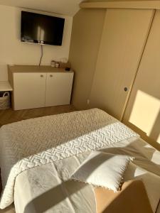 安锡Studio tout confort Annecy的一间卧室配有一张床和一台平面电视