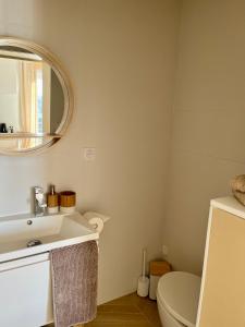 安锡Studio tout confort Annecy的一间带水槽、卫生间和镜子的浴室