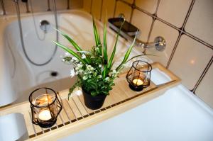 苏黎世MANY'S historical city central APARTMENTS的一间带蜡烛、植物和浴缸的浴室