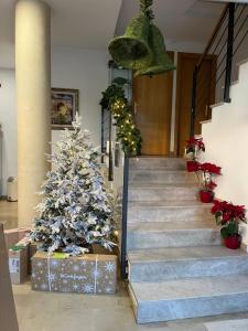 塔拉戈纳宇宙塔拉戈纳酒店的建筑物楼梯上的圣诞树