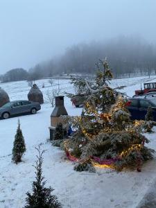 BrebCasa Leca的雪中带灯的圣诞树